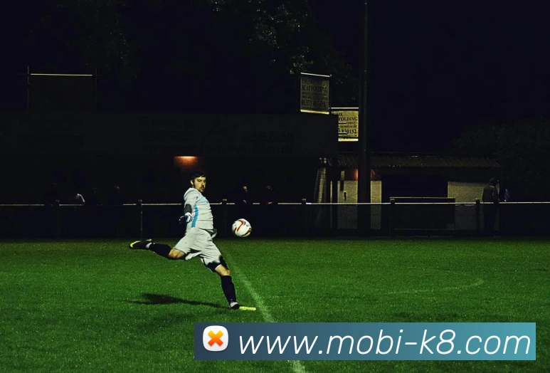 凯发娱乐平台生态图